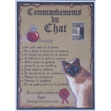 Les commandements du chat