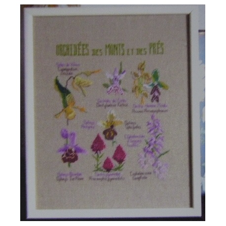 Orchidées des monts et des prés Orchidées des monts et des prés