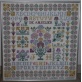 The Carnation Sampler