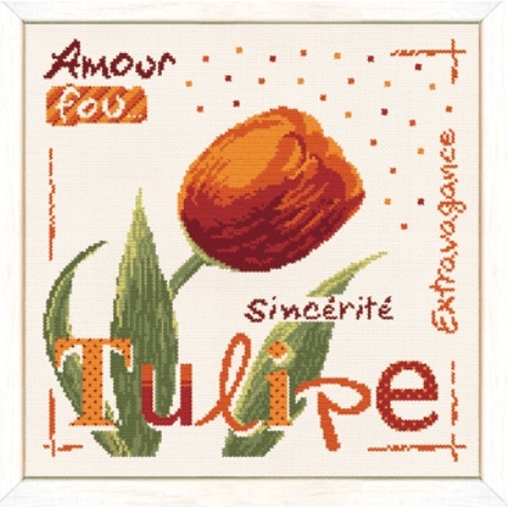 Tulipe