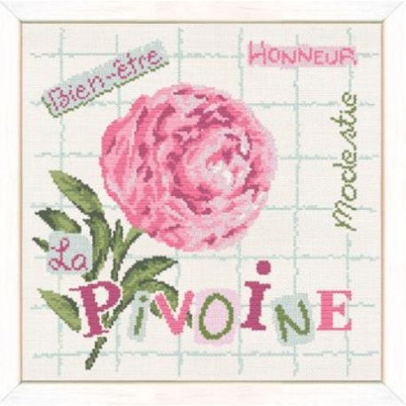 Pivoine