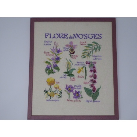 Flore des Vosges Flore des Vosges