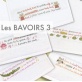 Les Bavoirs 3