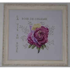 Rose de charme