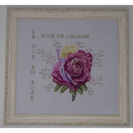 Rose de charme Rose de charme