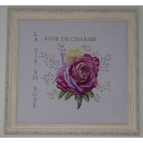 Rose de charme