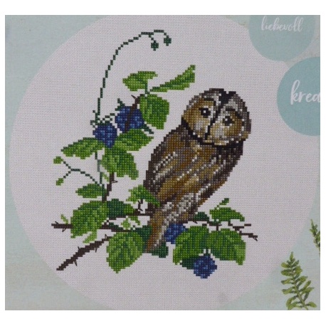 Chouette sur branche de mûre (fiche) Chouette sur branche de mûre (fiche)