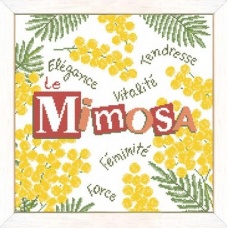 Le Mimosa