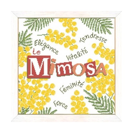 Le Mimosa