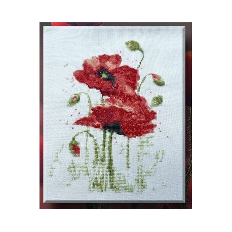 Trésor d'été - Coquelicot Trésor d'été - Coquelicot