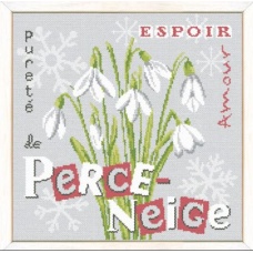 Perce-Neige