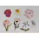 Fleurs de Printemps (Kit 100237)