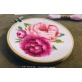 Pivoines Roses (kit)