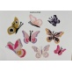 Papillons  (Kit 100417)
