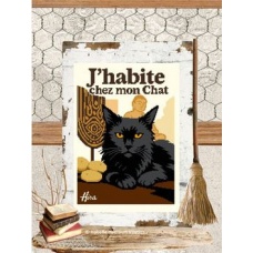 J'habite chez mon chat