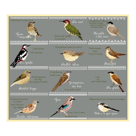 Les oiseaux des bois