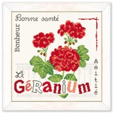 Géranium