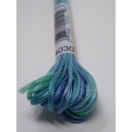 Fil DMC Mouliné Color Variation n° 4030 Fil DMC Mouliné Color Variation n° 4030