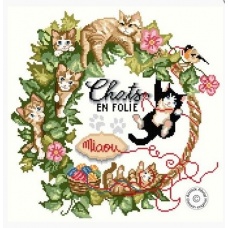 Chats en folie