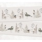 Galon "Amour des Oiseaux"