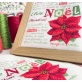 Poinsettia