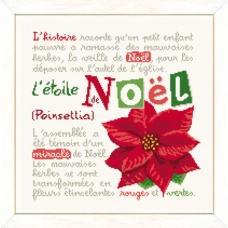 Poinsettia