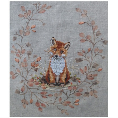 Baby Fox